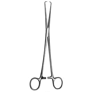 Straight Tenaculum Forceps (25cm) x 1